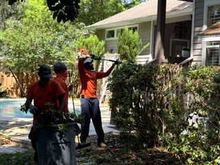 Landscape trimming